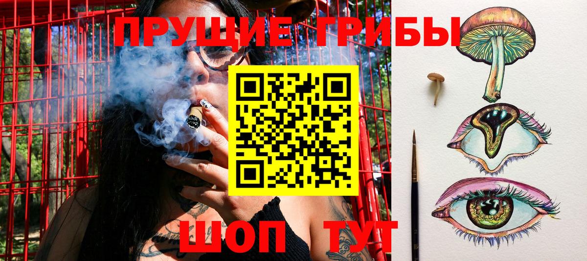 Галлюциногенные грибы Cubensis Ликино-Дулёво